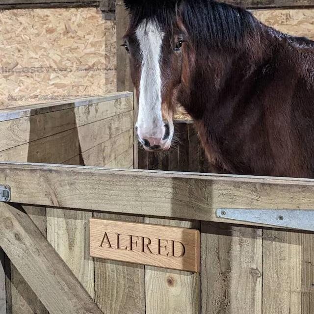 Engraved Oak Stable Sign, Equestrian