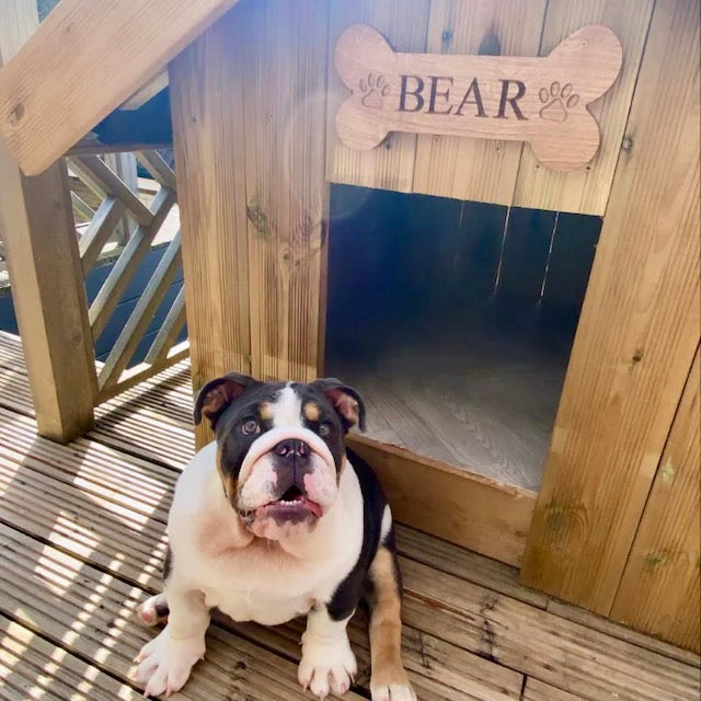 Personalised Dog Kennel Sign / Nameplate